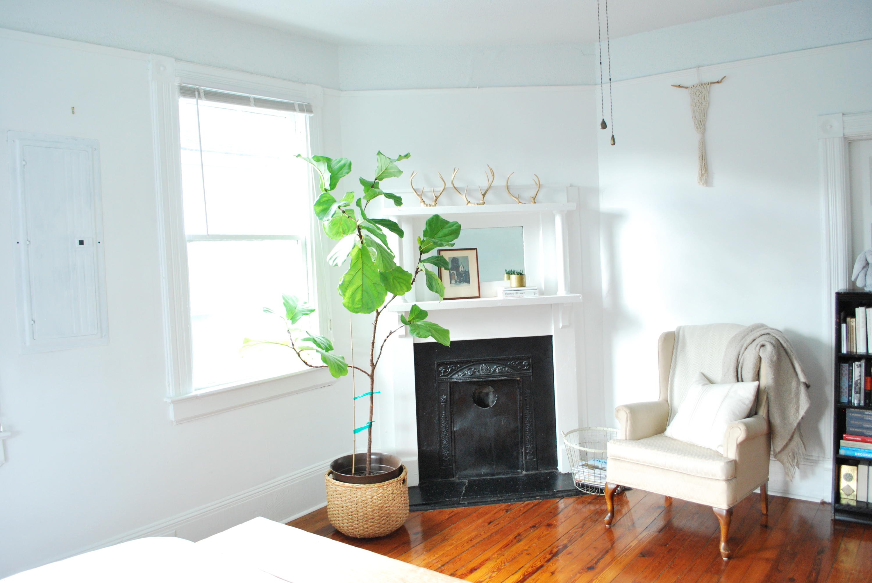 13 Perry Street Charleston, SC 29403 - Photo 64 of 71 DSC_0246