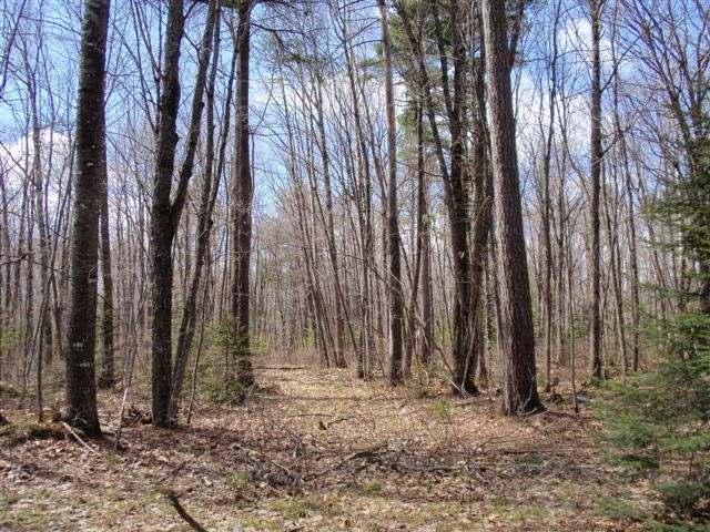 9 Francisco Road, Unit LOT Eagle River, WI 54521 - Photo 2 of 19 Gallery Image 2