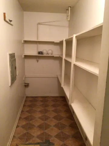 a view of a backyard with plants and large trees