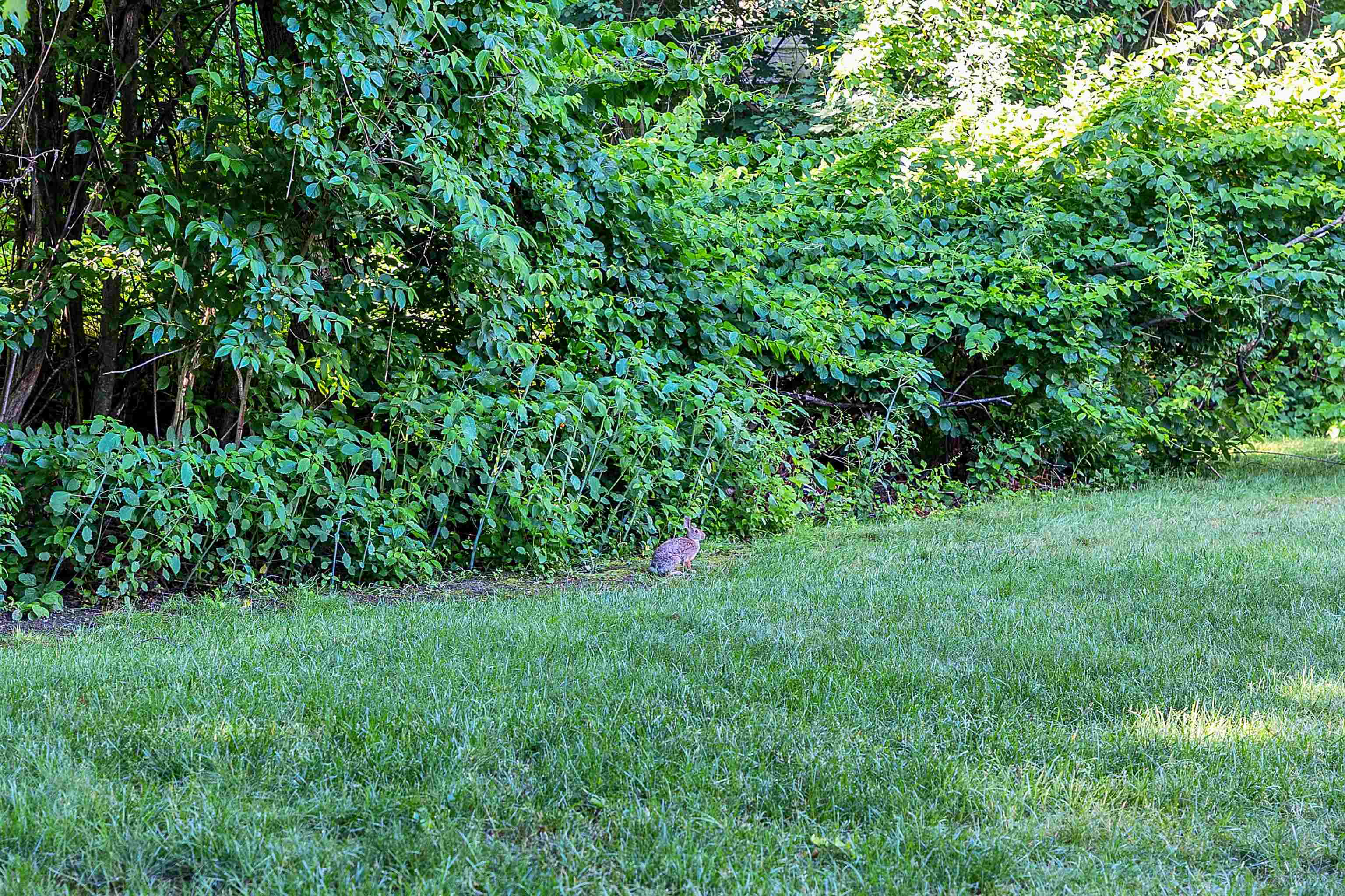 555 Straw Hill Road Manchester, NH 03104 - Photo 4 of 45
