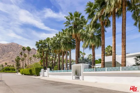 a palm tree sitting in front of a house with a big yard