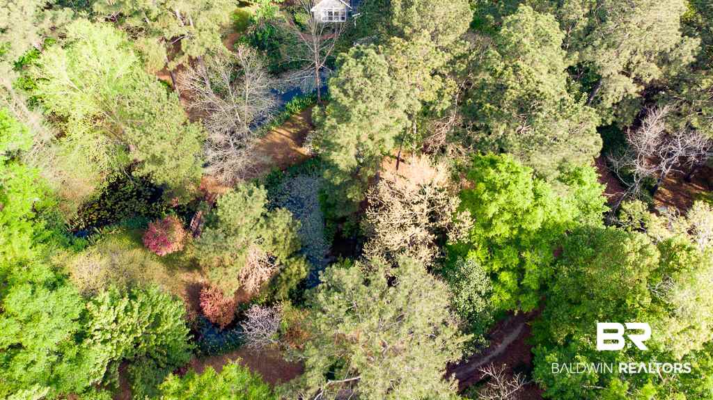 3360 Riverview Pointe Drive Theodore, AL 36582 - Photo 42 of 46