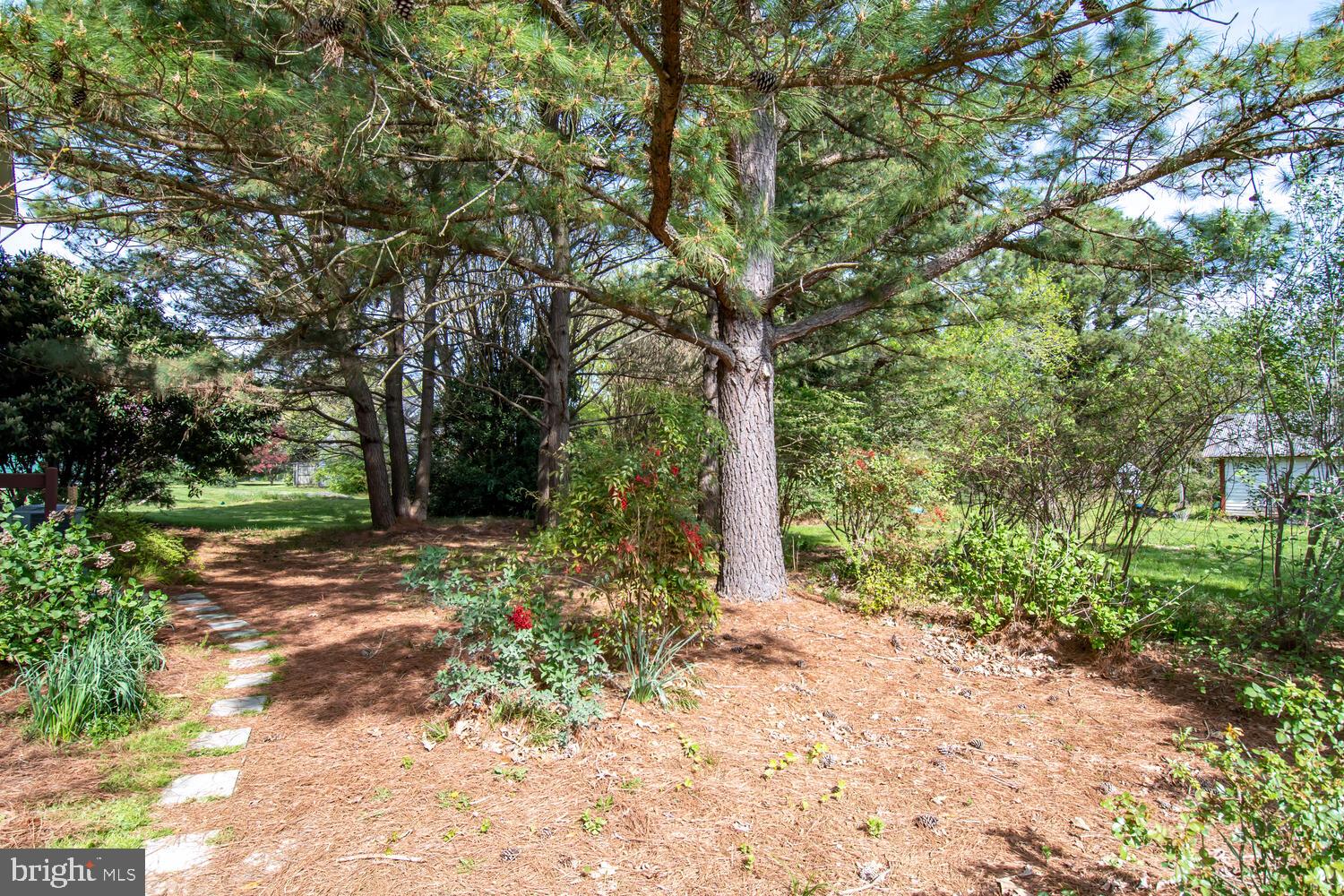 6963 Bellevue Road Royal Oak, MD 21662 - Photo 11 of 37