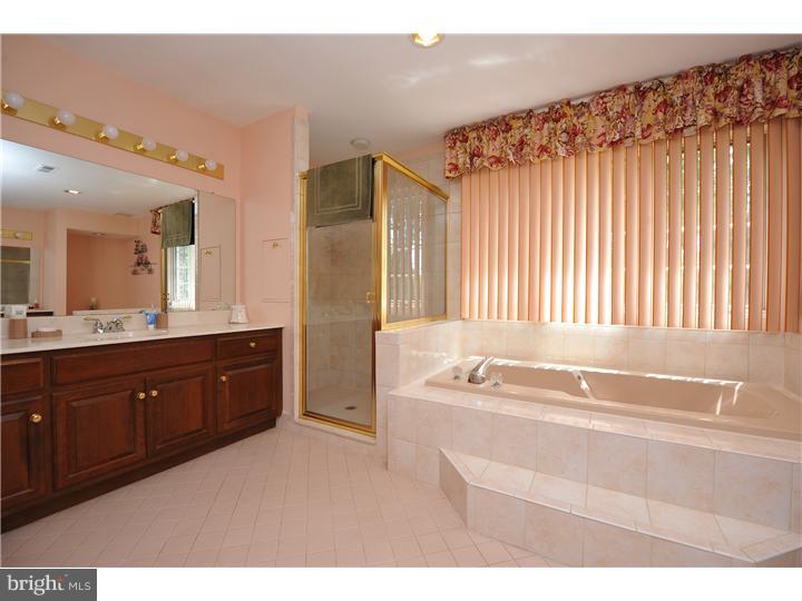 270 Norristown Road Blue Bell, PA 19422 - Photo 18 of 24 Master Bathroom