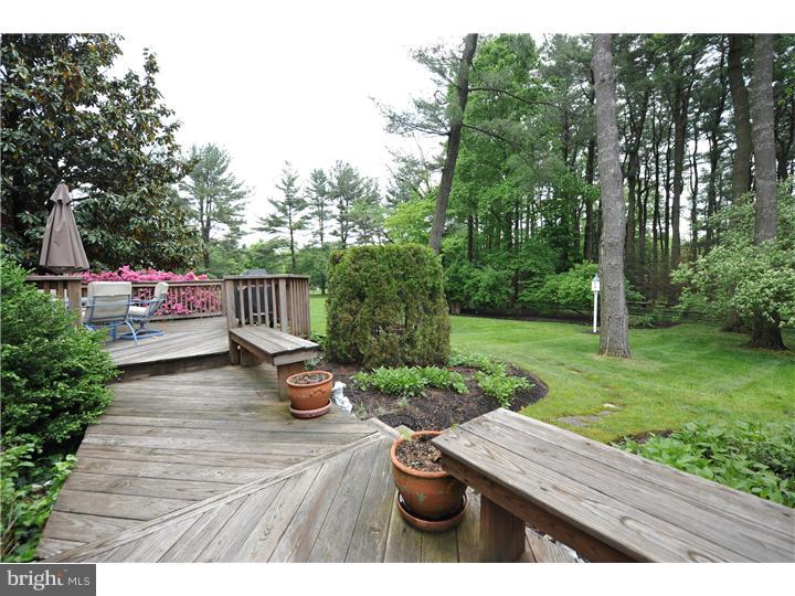 270 Norristown Road Blue Bell, PA 19422 - Photo 21 of 24 Deck