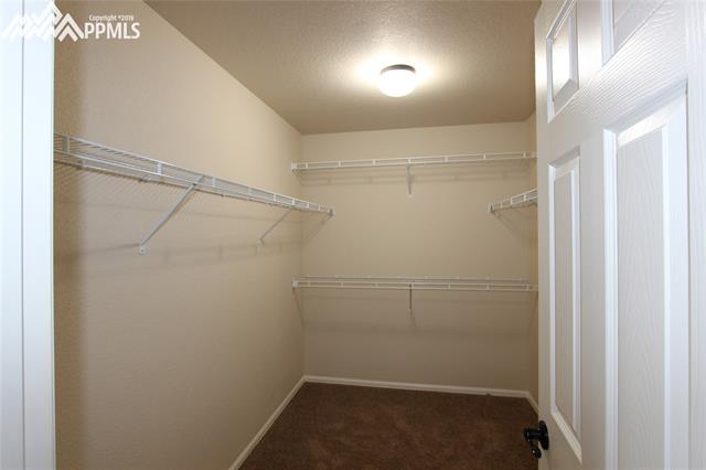6895 Red Cardinal Loop Colorado Springs, CO 80908 - Photo 15 of 30 Gallery Image 15