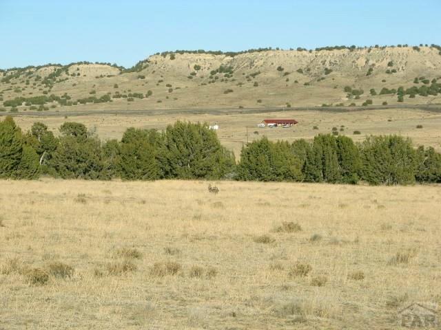 19 Salt Creek Road Pueblo, CO 81004 - Photo 16 of 25 Gallery Image 16