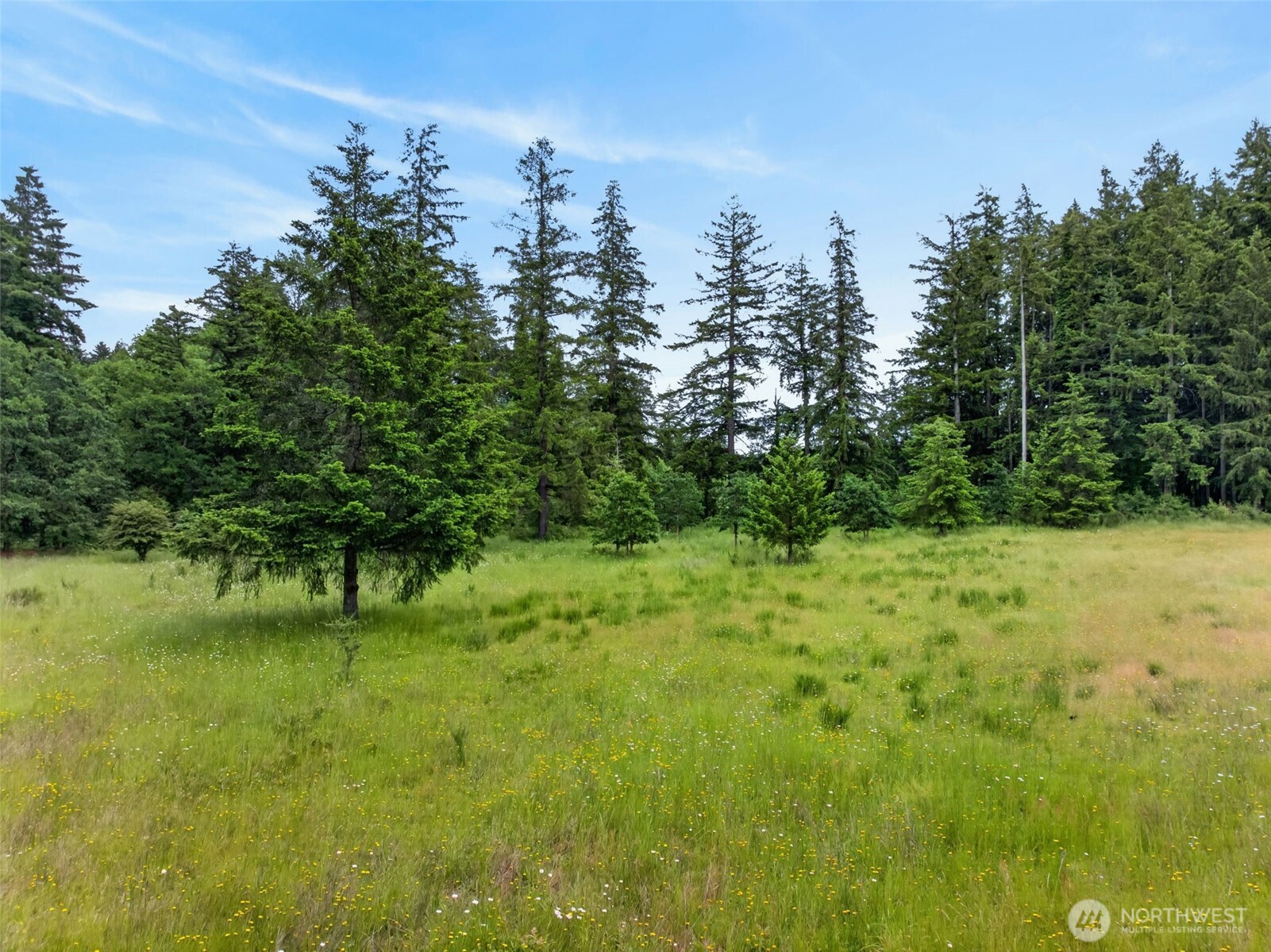 10320 James Road Southwest Rochester, WA 98579 - Photo 38 of 38