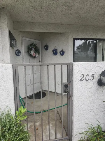 a close view of a plant in a room