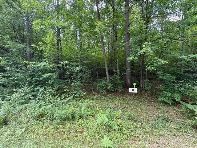 Lot 16 Burma Road Mosinee, WI 54455 - Photo 2 of 3 Gallery Image 2