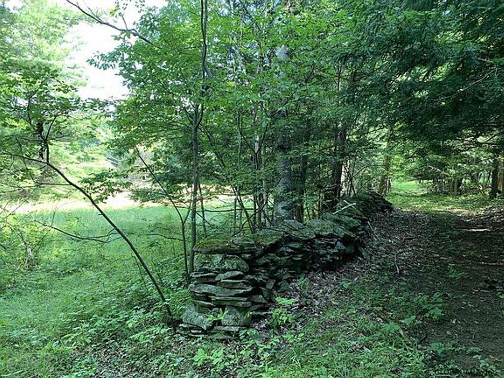 253 Ralph Engle Road Schoharie, NY 12157 - Photo 18 of 59 Photo 19