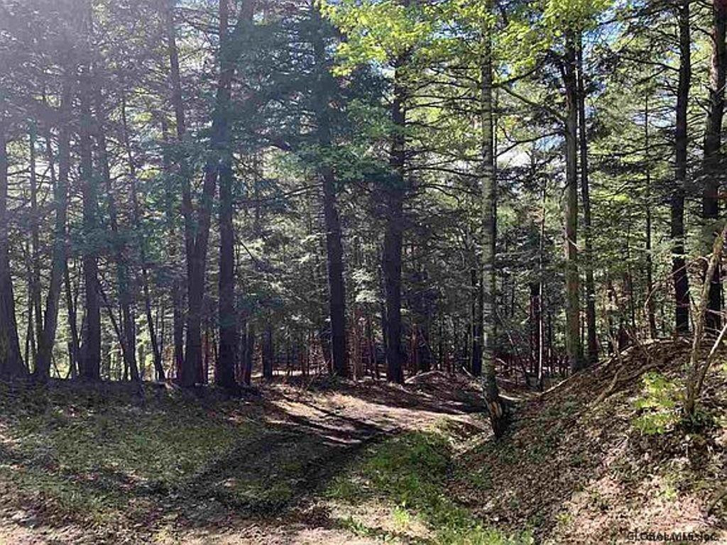 253 Ralph Engle Road Schoharie, NY 12157 - Photo 39 of 59 Photo 40