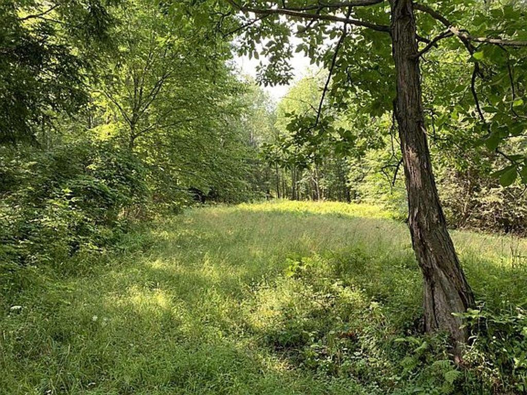 253 Ralph Engle Road Schoharie, NY 12157 - Photo 42 of 59 Photo 43