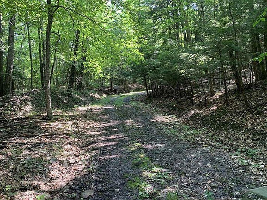253 Ralph Engle Road Schoharie, NY 12157 - Photo 44 of 59 Photo 46