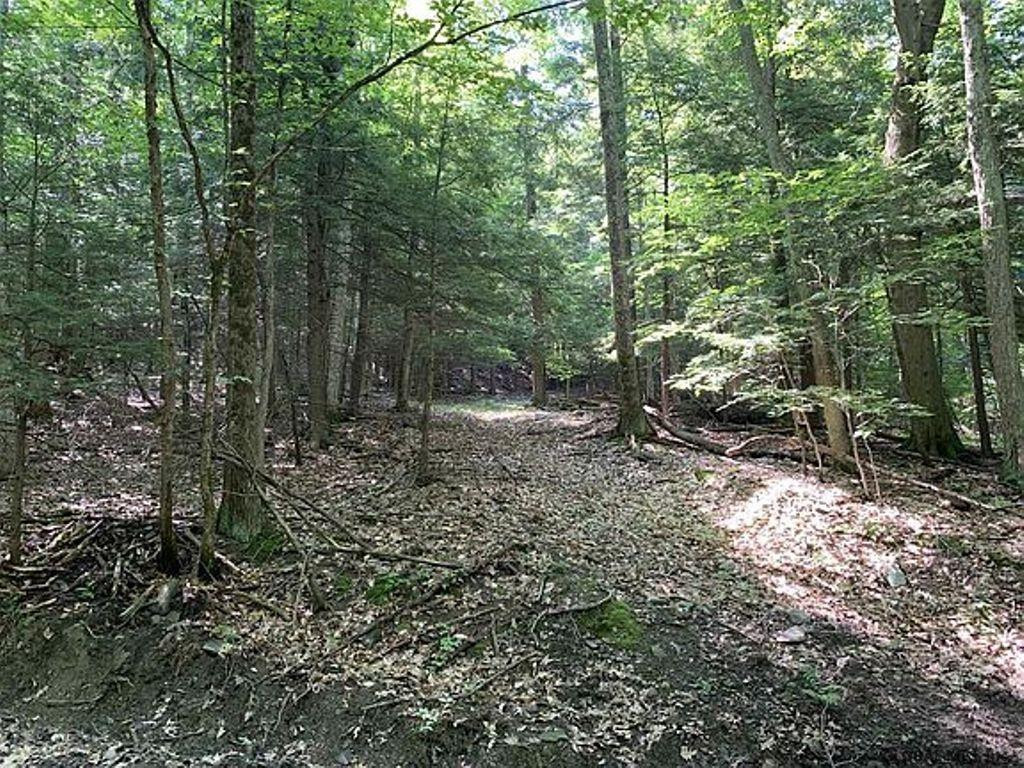 253 Ralph Engle Road Schoharie, NY 12157 - Photo 48 of 59 Photo 51