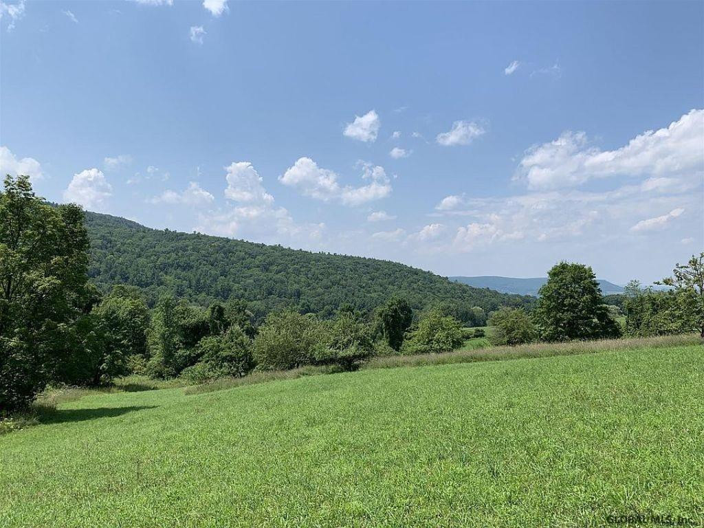 253 Ralph Engle Road Schoharie, NY 12157 - Photo 50 of 59 Photo 53