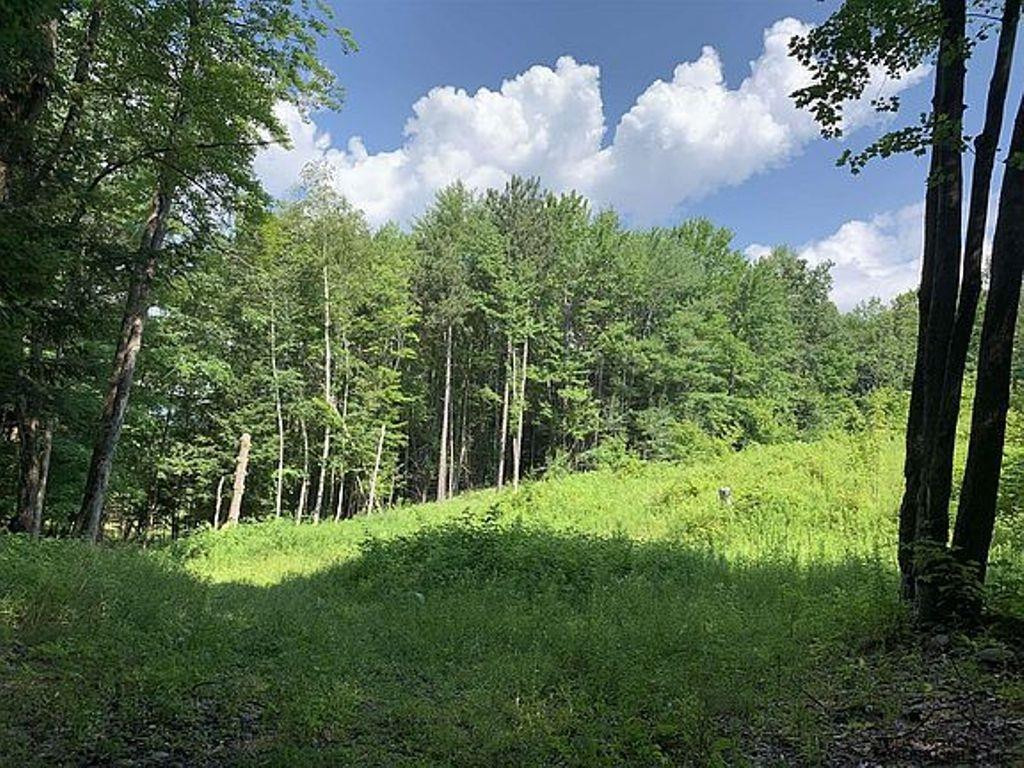 253 Ralph Engle Road Schoharie, NY 12157 - Photo 56 of 59 Photo 60