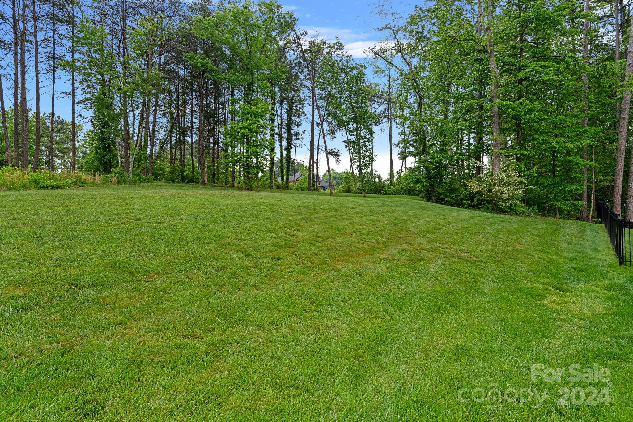 203 Webbed Foot Road Mooresville, NC 28117 - Photo 29 of 34 a view of a trees in a yard