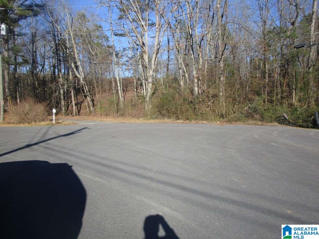 155 Triple Creek Road Cleveland, AL 35049 - Photo 18 of 21
