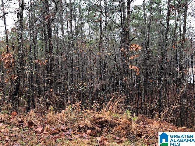 0 Lakeside Lane, Unit 31 Alpine, AL 35014 - Photo 6 of 42