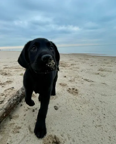 $539,000 | 1701 J W Way, St. Joseph, MI 49085