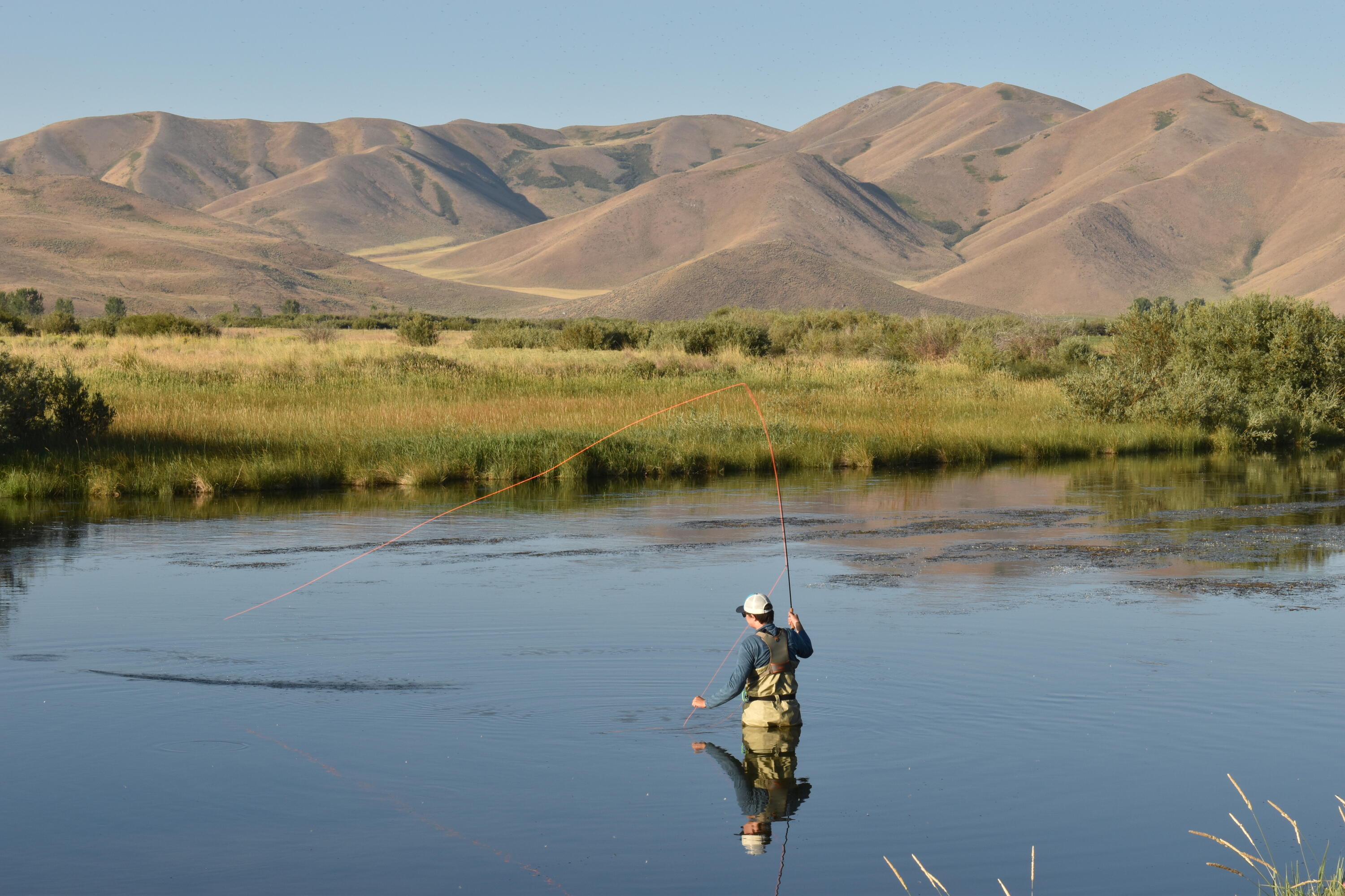 201 Equus Loop Blaine County, ID 83313 - Photo 43 of 45 Fishing Silver Creek 4