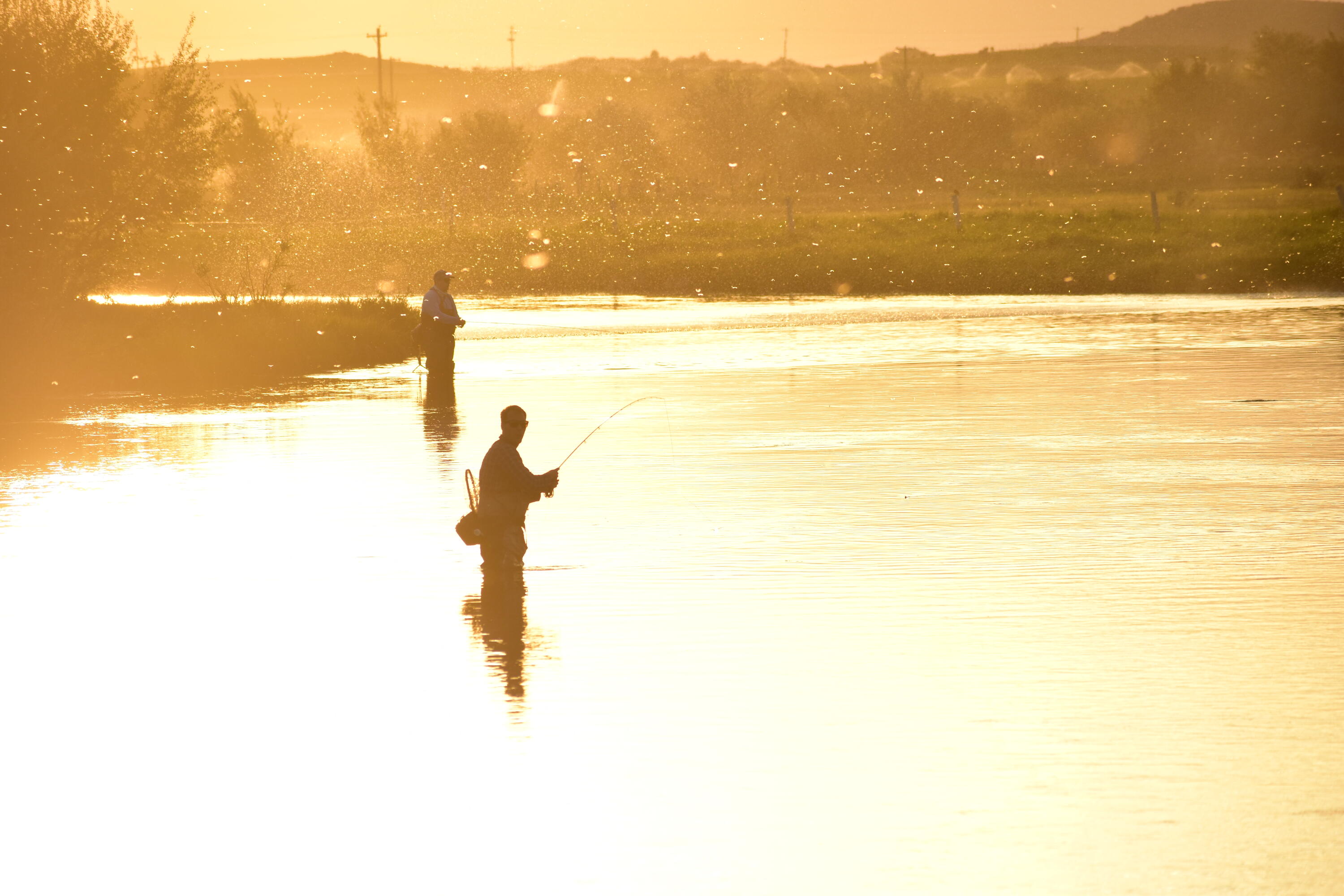 201 Equus Loop Blaine County, ID 83313 - Photo 45 of 45 Fishing Silver Creek Sunset 3