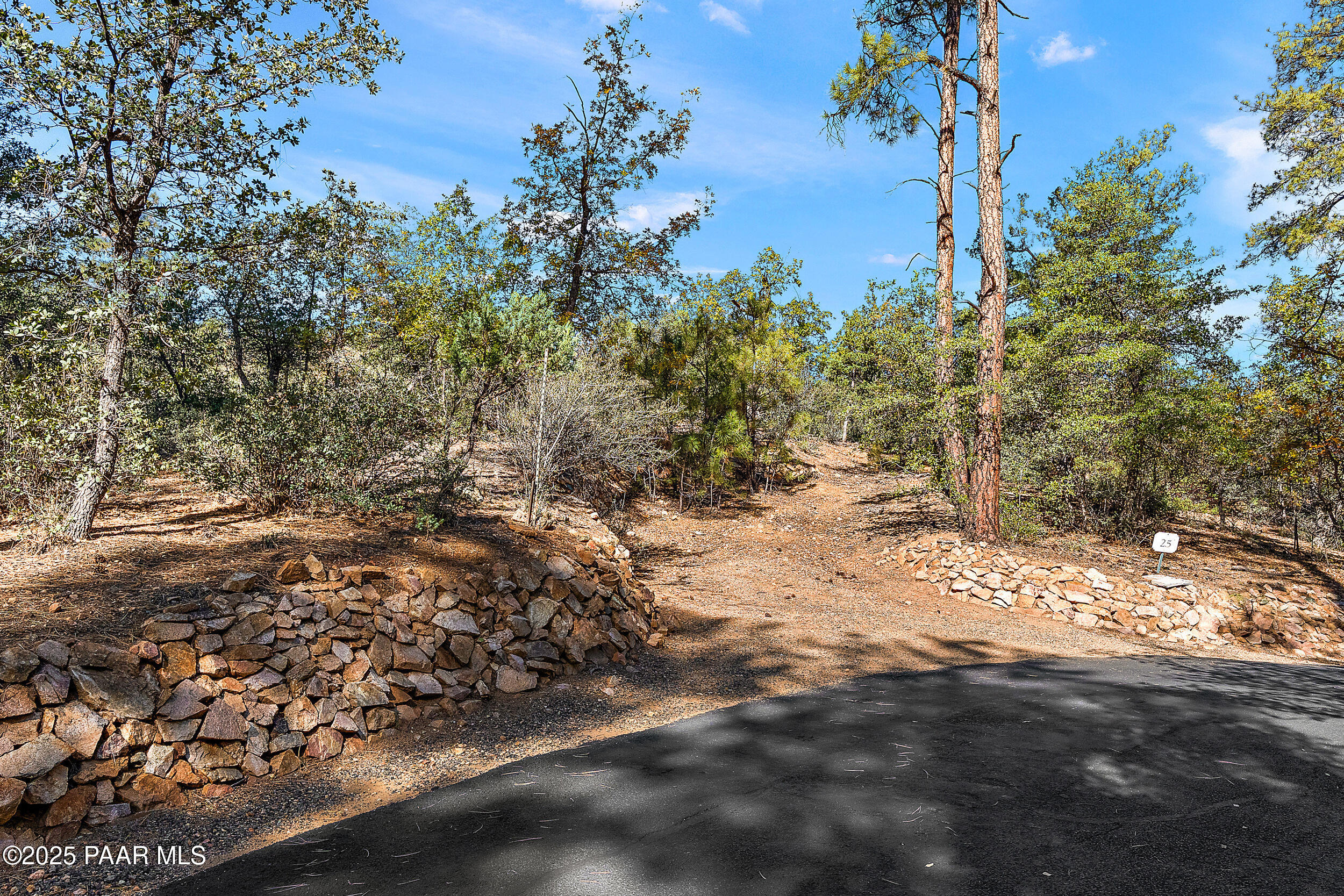 3185 West Warm Springs Road Prescott, AZ 86303 - Photo 4 of 14 a view of a yard with a tree