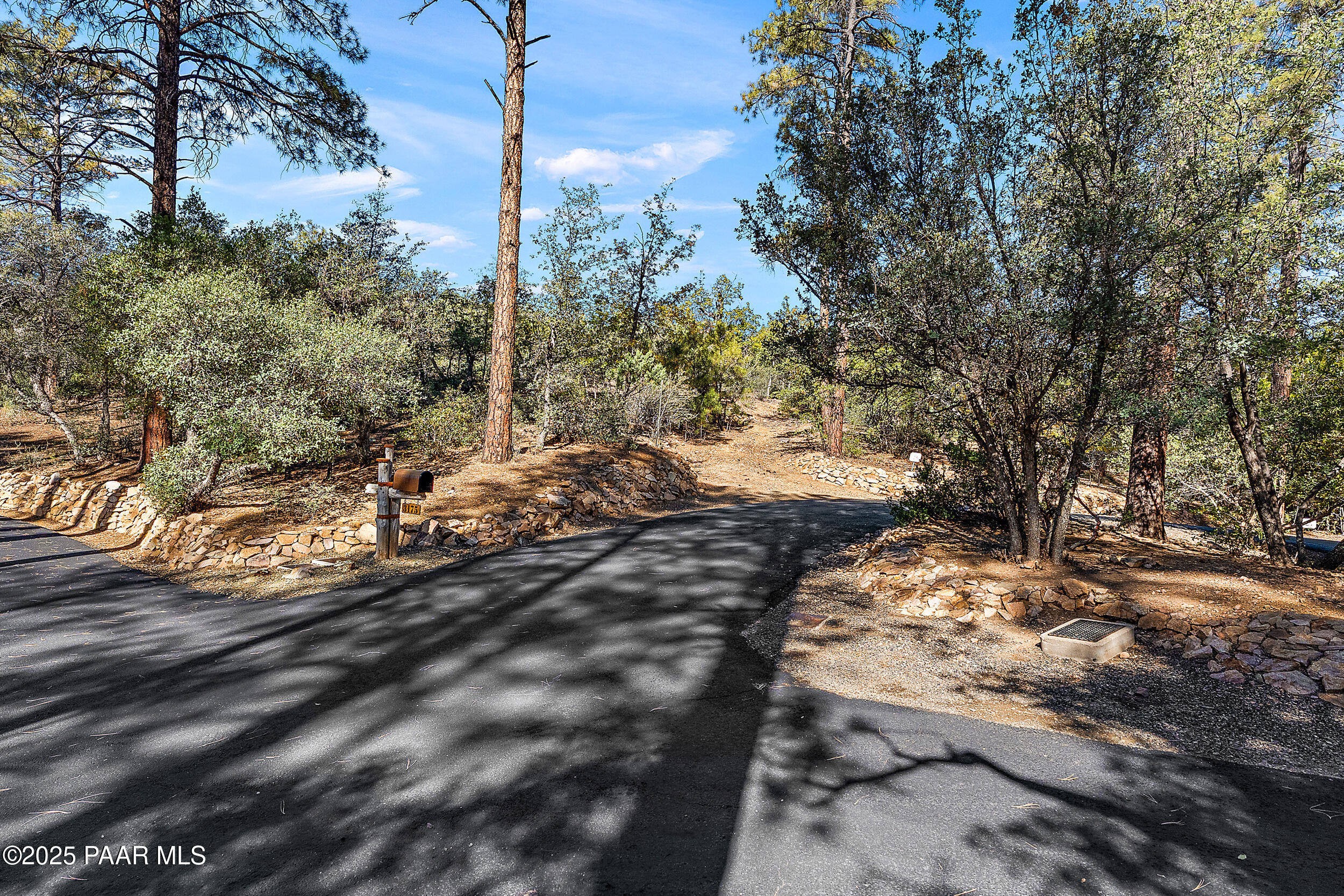 3185 West Warm Springs Road Prescott, AZ 86303 - Photo 5 of 14 a view of a forest with trees