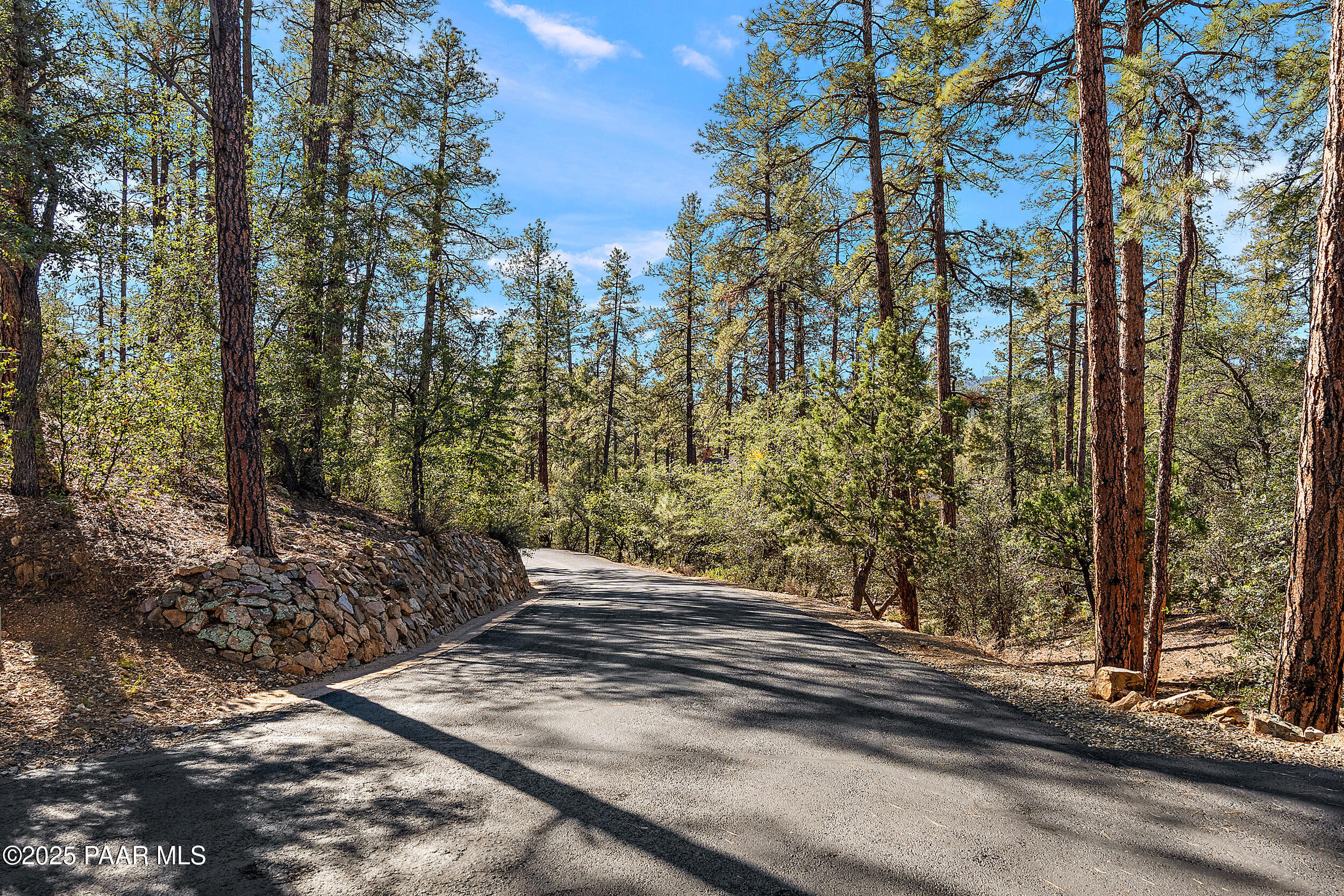 3185 West Warm Springs Road Prescott, AZ 86303 - Photo 6 of 14 a view of a yard with street