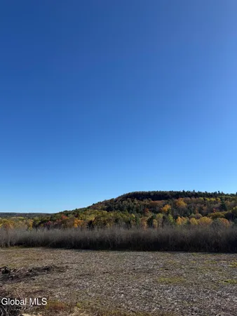 $125,000 | 5 Street Road, Knox, NY 12009