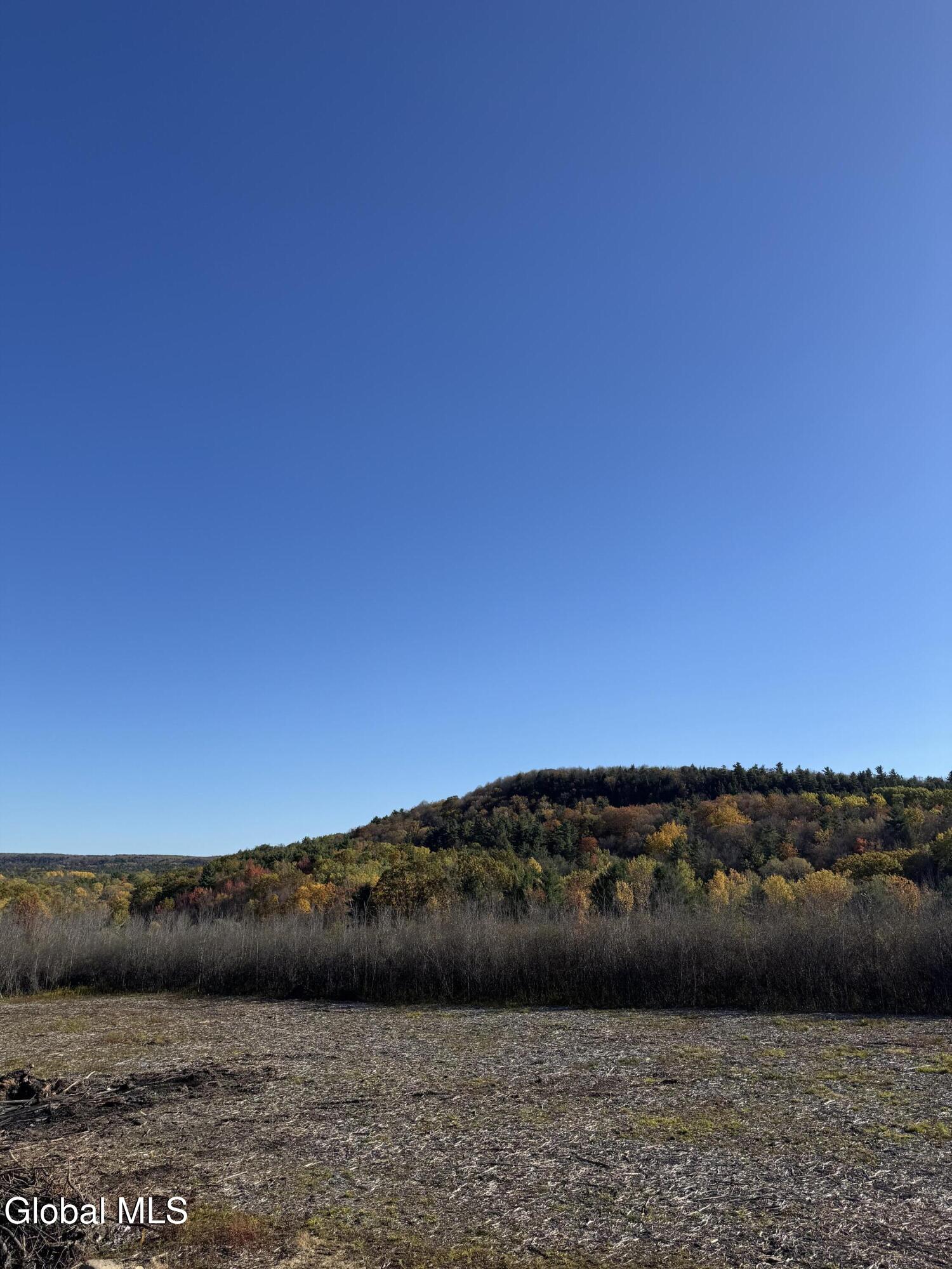 5 Street Road Knox, NY 12009 - Photo 2 of 33 IMG_6861