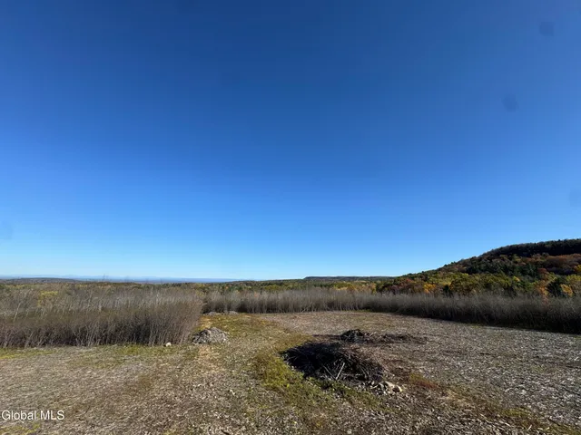 $125,000 | 5 Street Road, Knox, NY 12009