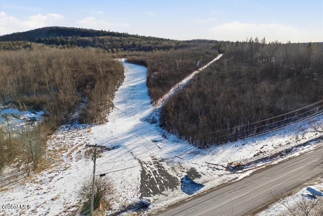 5 Street Road Knox, NY 12009 - Photo 8 of 33 03-5 Street Rd-3