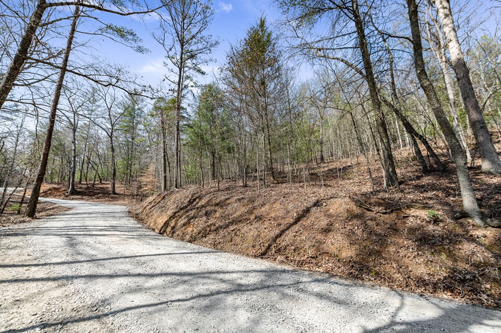 3 Old Mill Road Mineral Bluff, GA 30559 - Photo 9 of 45 Gallery Image 9