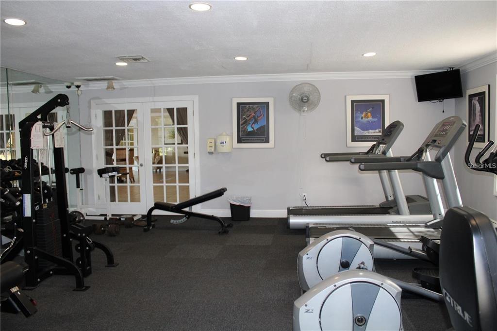 2537 Cedar Cypress Ct. Tampa, FL 33618 - Photo 18 of 29 a room with gym equipment and a large window