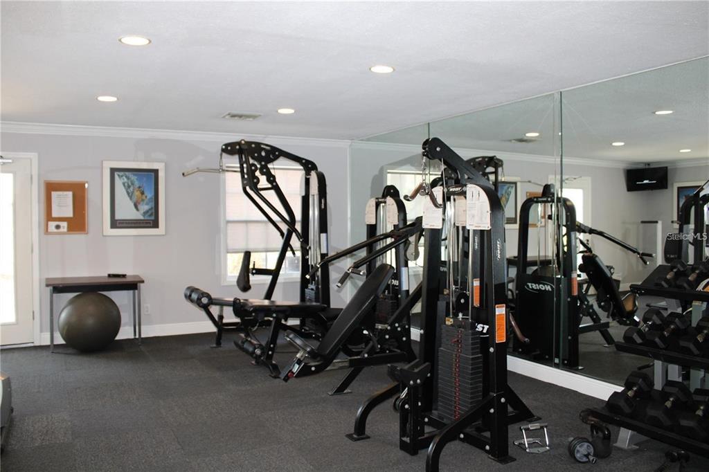 2537 Cedar Cypress Ct. Tampa, FL 33618 - Photo 19 of 29 a view of a room with gym equipment