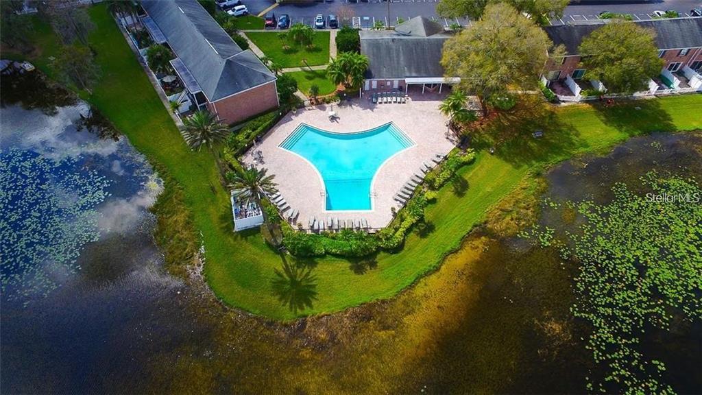 2537 Cedar Cypress Ct. Tampa, FL 33618 - Photo 23 of 29 a view of a swimming pool with a yard