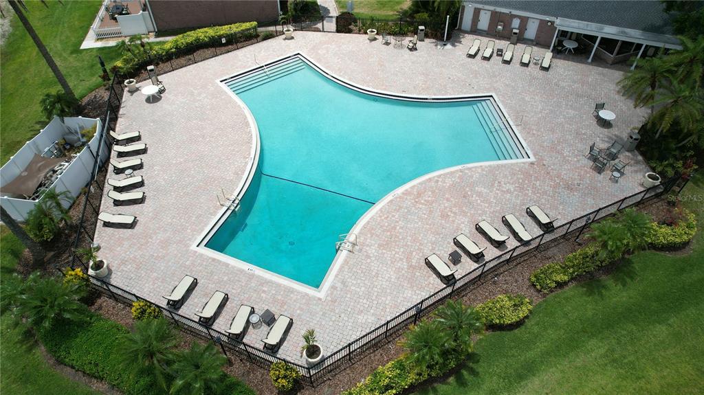 2537 Cedar Cypress Ct. Tampa, FL 33618 - Photo 24 of 29 an aerial view of a house with outdoor space and pool