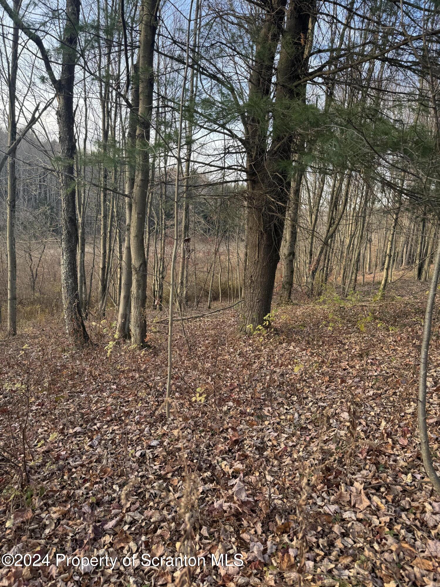 Shust Carbondale, PA 18407 - Photo 15 of 16 a backyard of a house with lots of green space