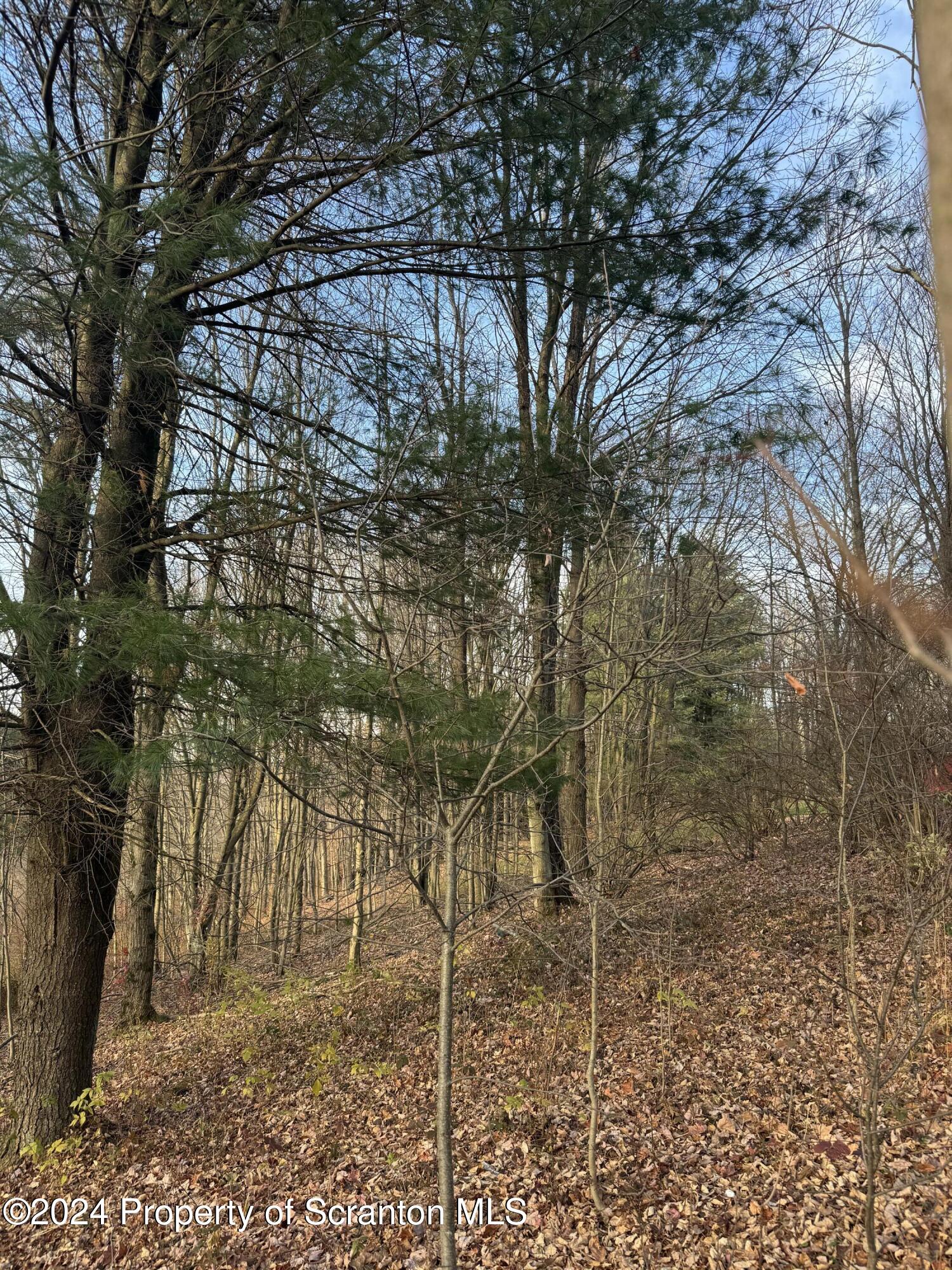 Shust Carbondale, PA 18407 - Photo 3 of 16 a backyard of a house