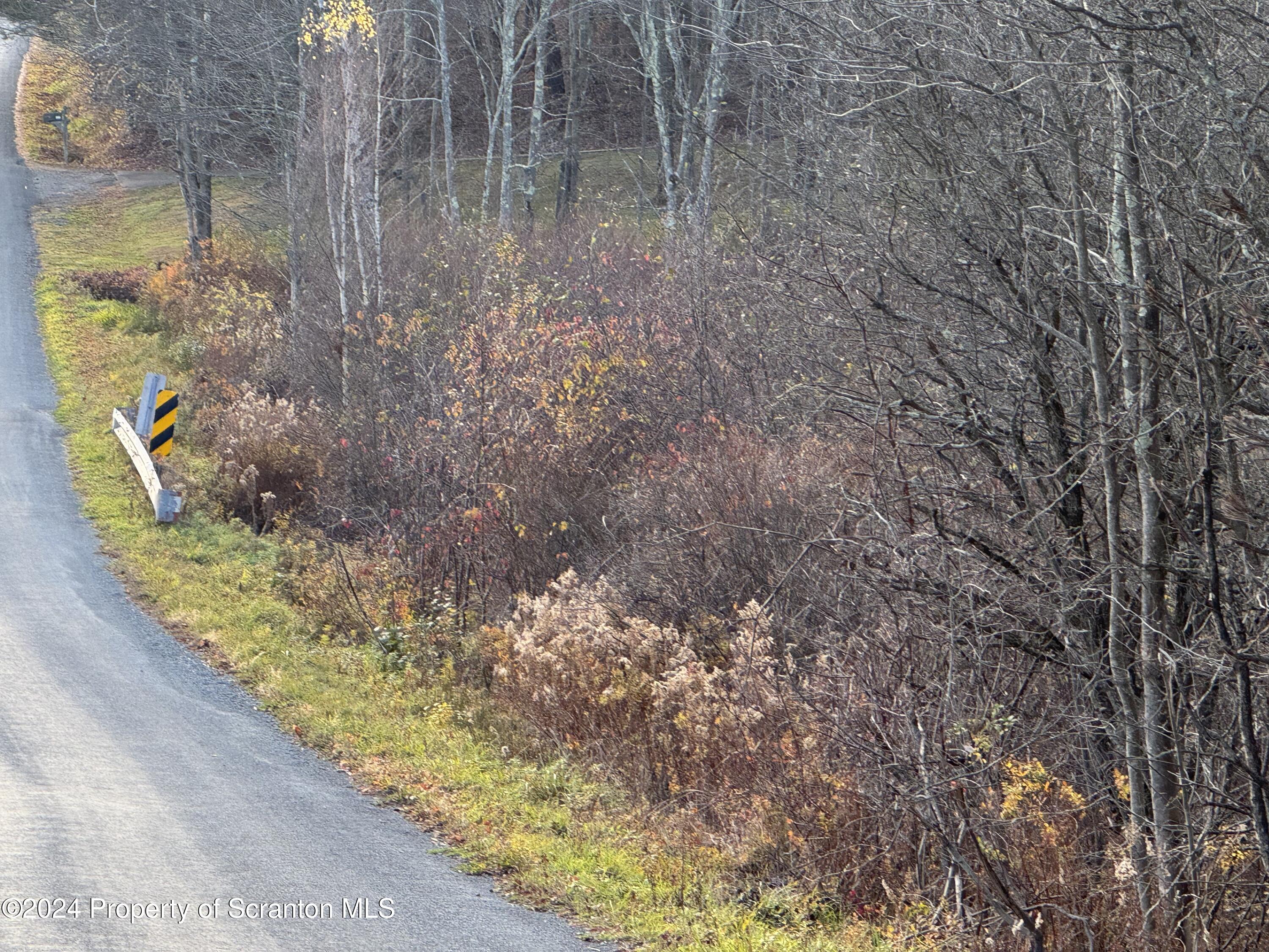 Shust Carbondale, PA 18407 - Photo 6 of 16 a view of a yard