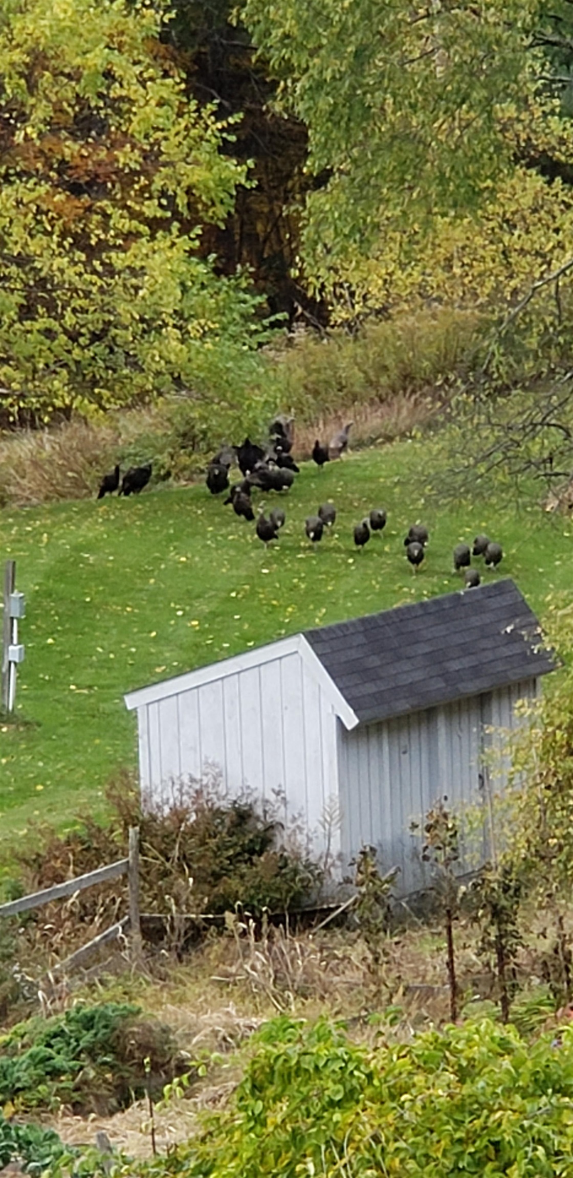 289 Lamb Hill Road Wells, VT 05774 - Photo 17 of 23