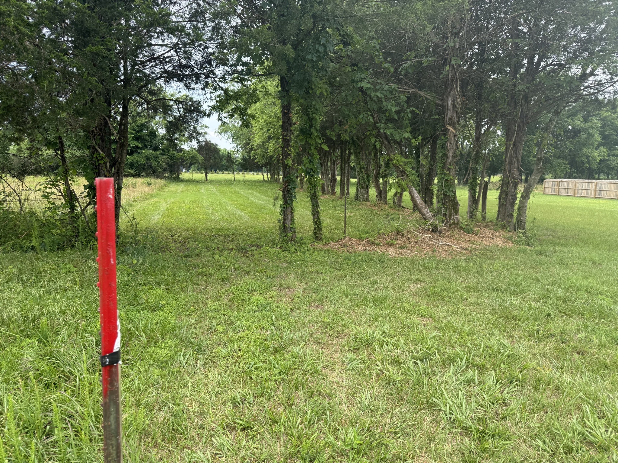 2120 Hamilton Chambers Road Lebanon, TN 37087 - Photo 53 of 57