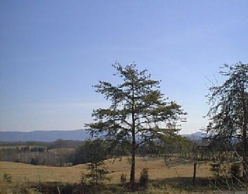 270 Rolling Road Moneta, VA 24121 - Photo 10 of 11 Smith Mountain View