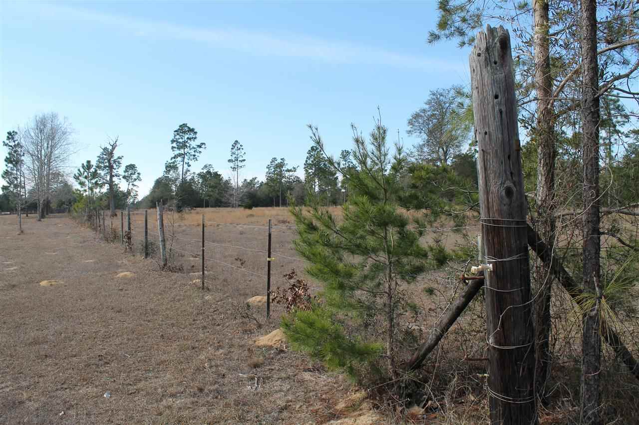 Nichols Creek Road Milton, FL 32583 - Photo 2 of 8 Southeast corner on Nichols Creek Road