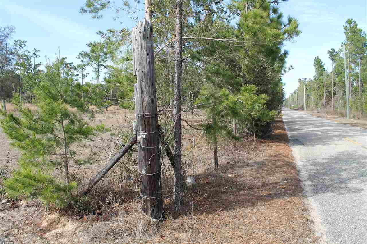 Nichols Creek Road Milton, FL 32583 - Photo 3 of 8 Nichols Creek Rd looking towards NE corner