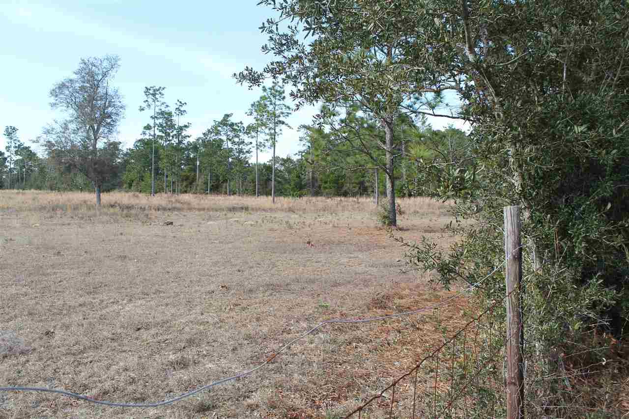 Nichols Creek Road Milton, FL 32583 - Photo 4 of 8 Another view from Nichols Creek Road