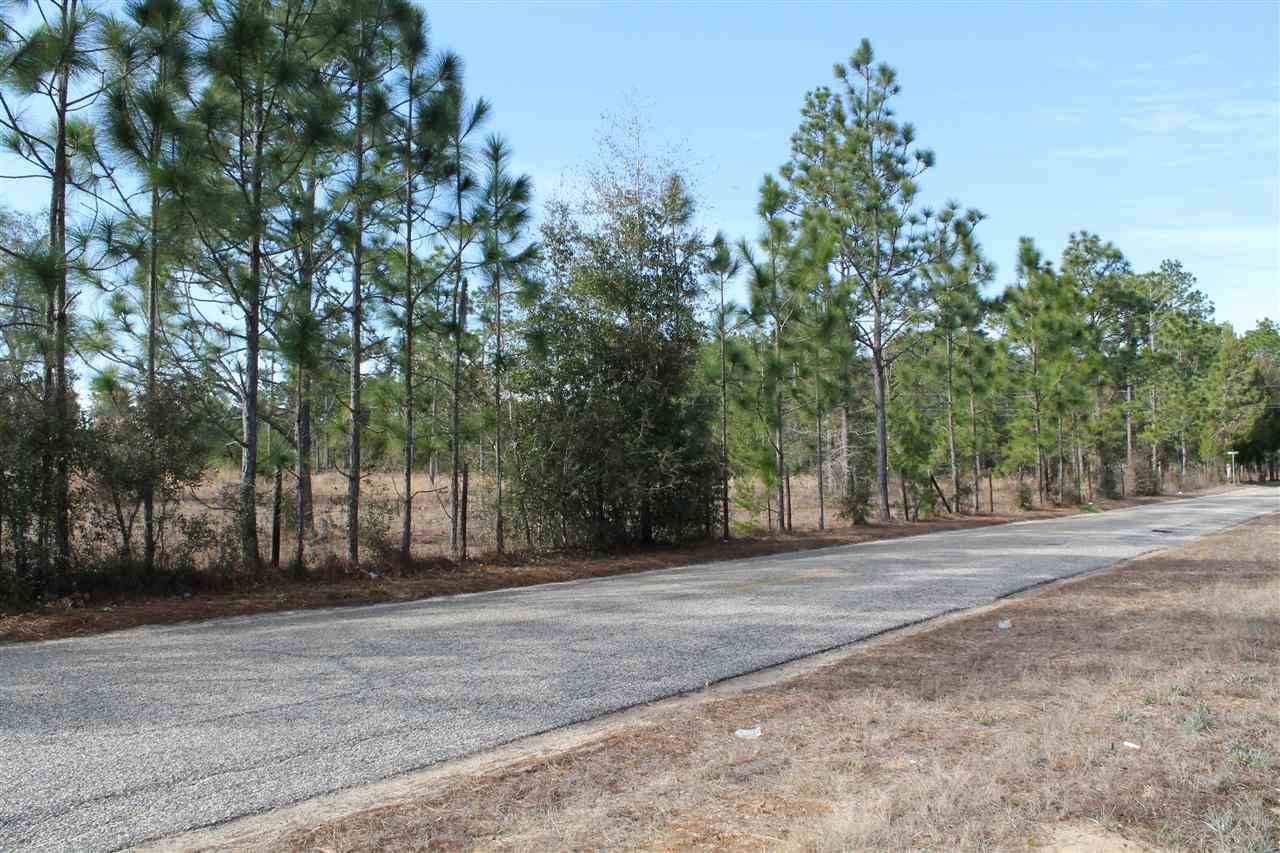 Nichols Creek Road Milton, FL 32583 - Photo 5 of 8 Long view on Nichols Creek Road
