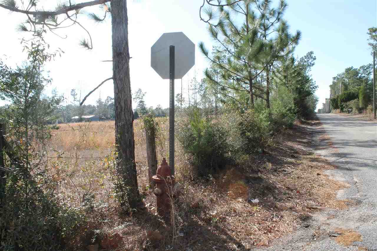 Nichols Creek Road Milton, FL 32583 - Photo 7 of 8 Looking West on Muscogee Road (note fire hydrant)